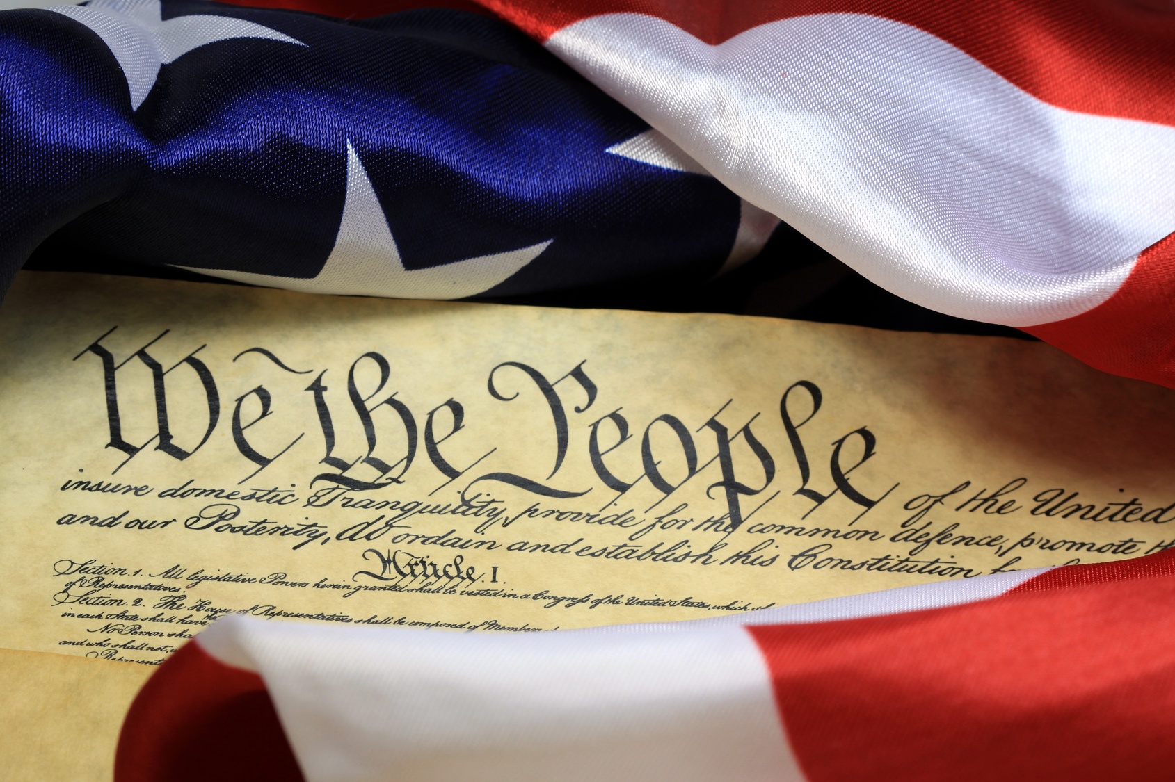 We the People Will FIGHT to preserve our great constitution
